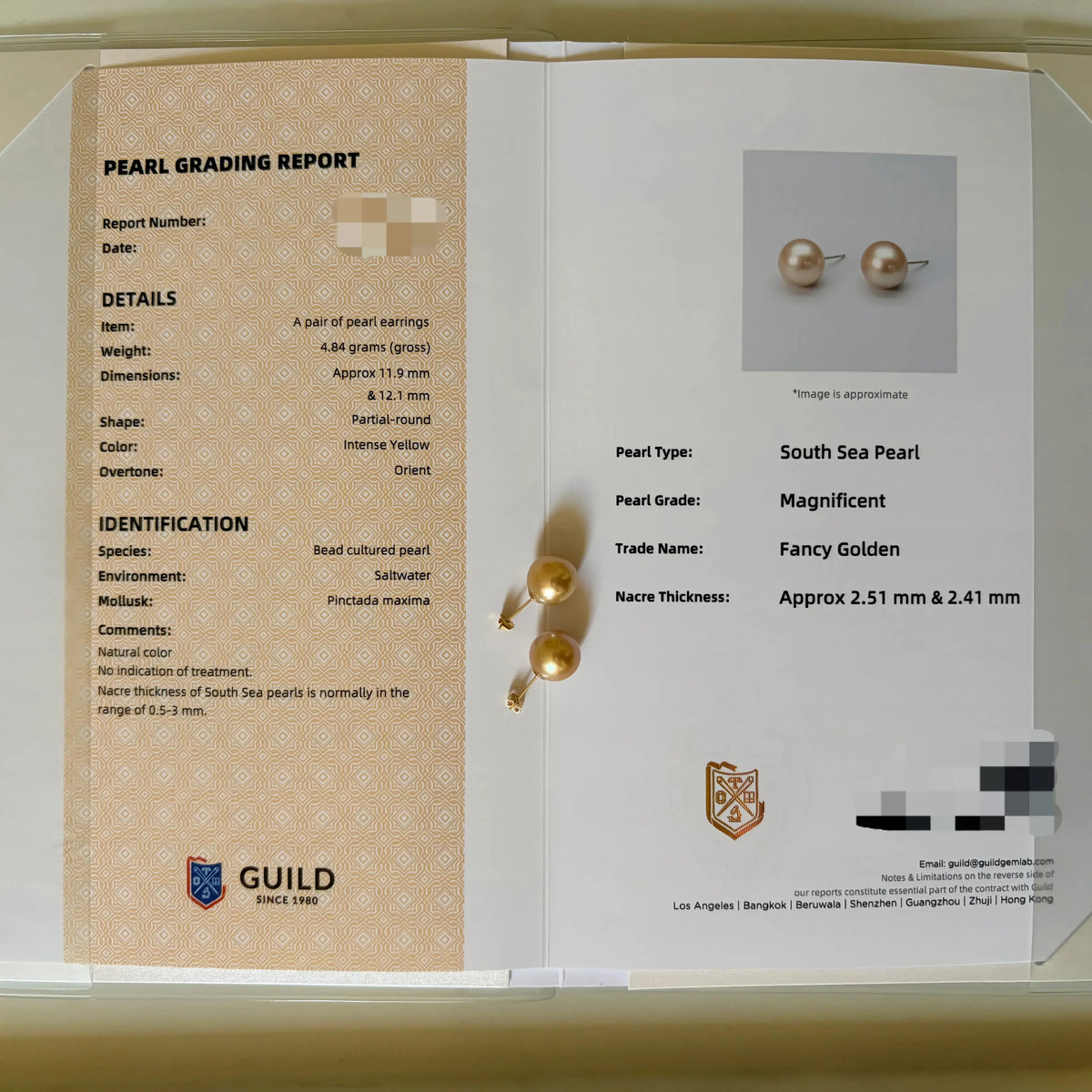 Custom Case-The Elegance South Sea Gold Pearl Stud Earrings-GUILD