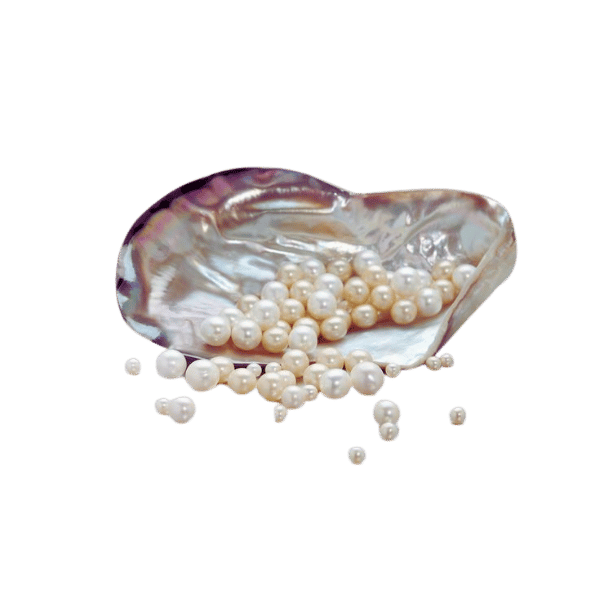 Discover the Enchanting Lustre of a Pearl: Grading and Finding the Perfect Gem