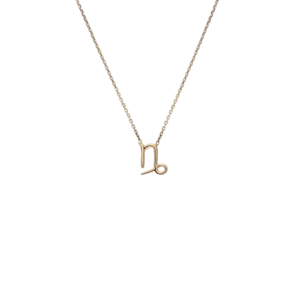 Discover the Best Jewelry for Capricorn Zodiac Signs